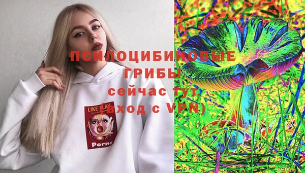 кристаллы Абаза