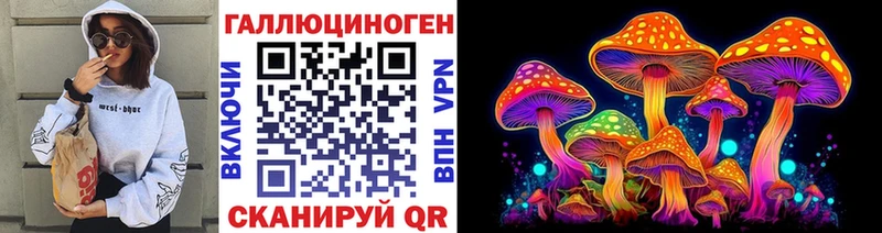 Псилоцибиновые грибы мицелий  где купить наркоту  Ермолино 
